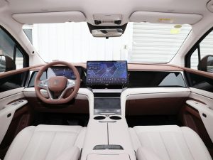 So sánh Zeekr 009 và BYD M9